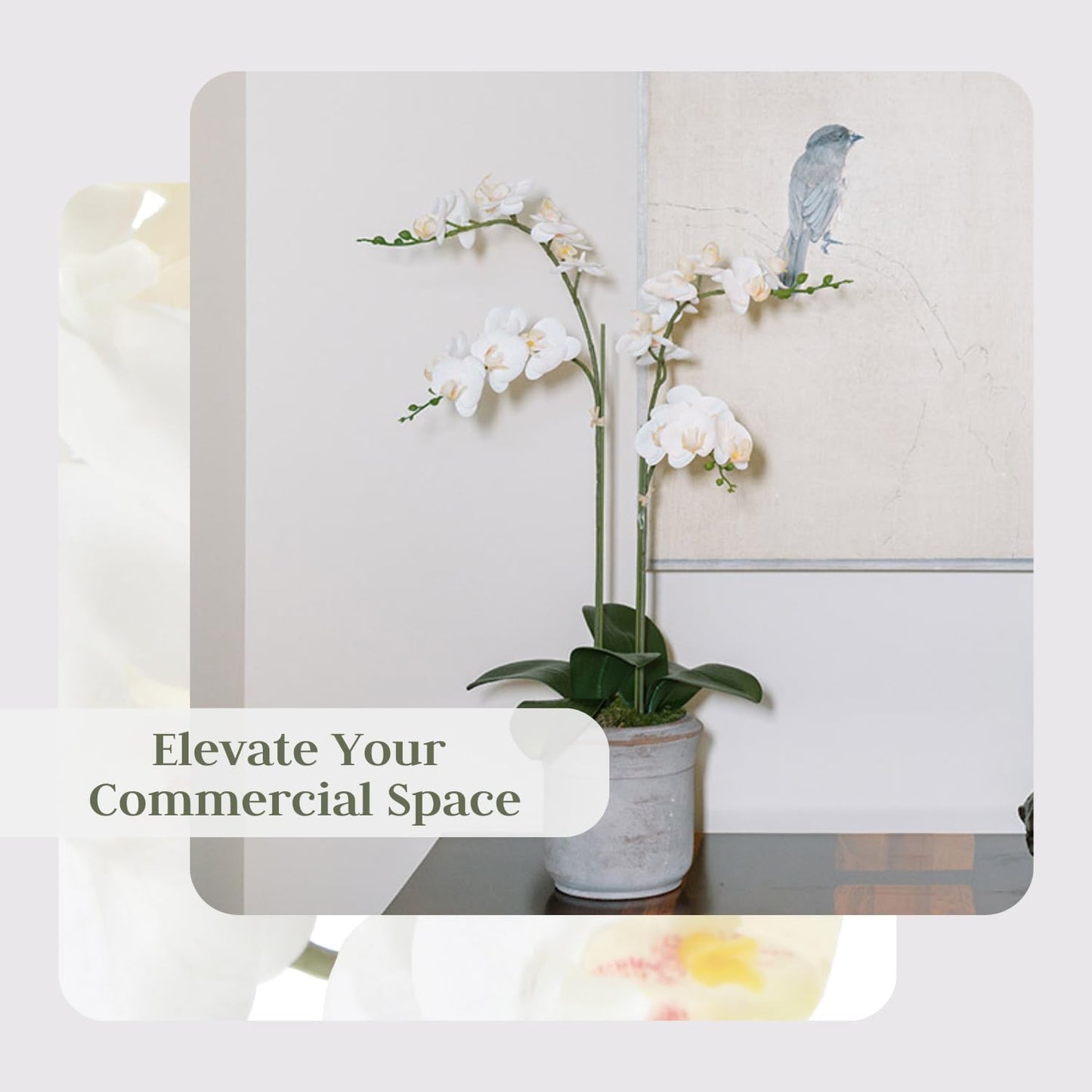 Faux White Orchid Plant, Premium Artificial Indoor Flower Display Stands 24”, Beautiful Sculptural Blooms That Lasts Forever, Grey Planter Pot Included