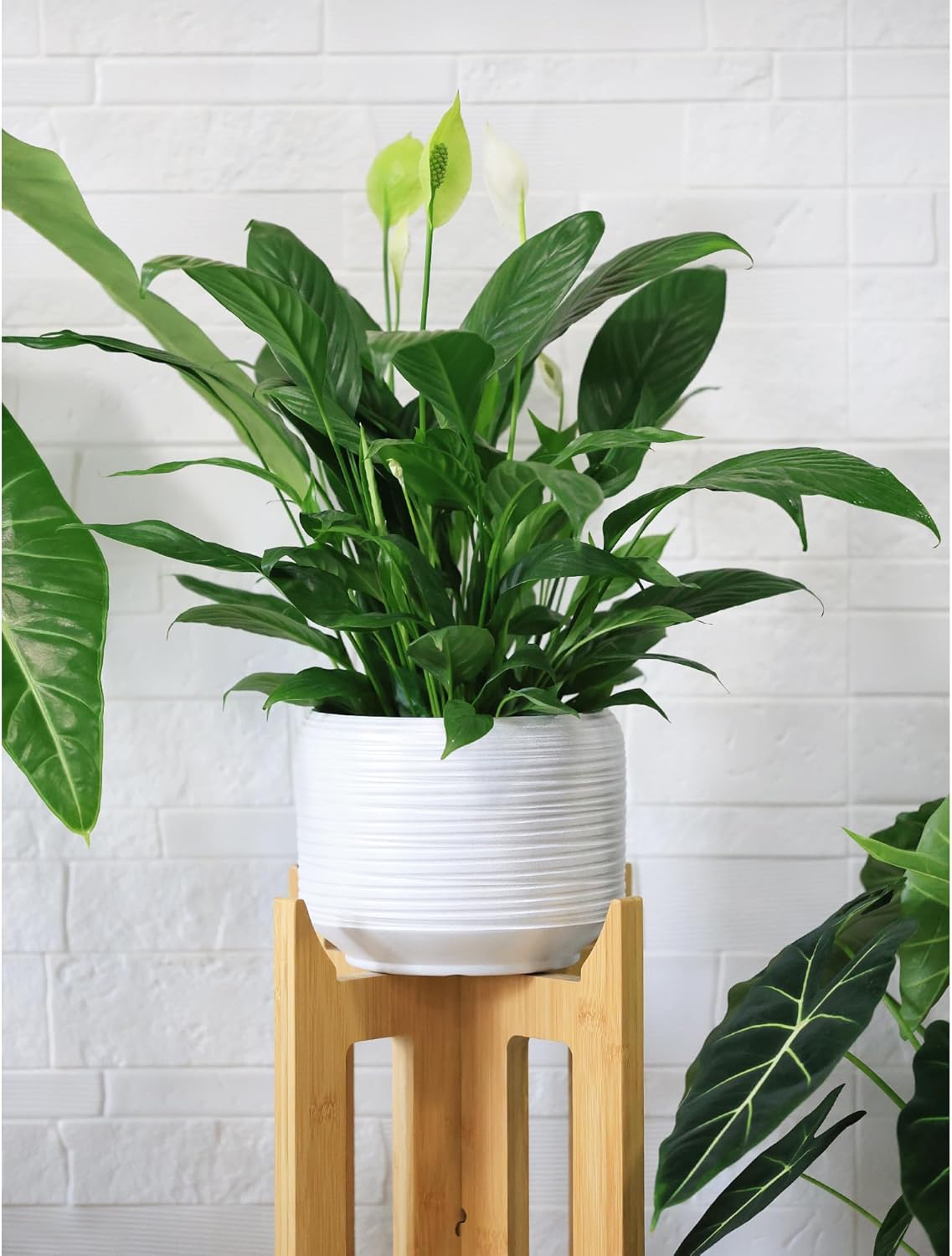 8 Inch + 6 Inch Ceramic Plant Pots Indoor with Drainage – Flower Pot Set, Decorative Indoor Planters for House Plants and Garden Use