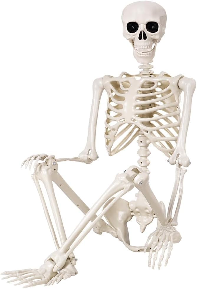 36" Halloween Skeleton - 3 ft Life Size Human Skeleton with Full Body Posable Joints - Spooky Scary Plastic Skeletons for Outdoor Decoration, Halloween Party Decor, Haunted House Props