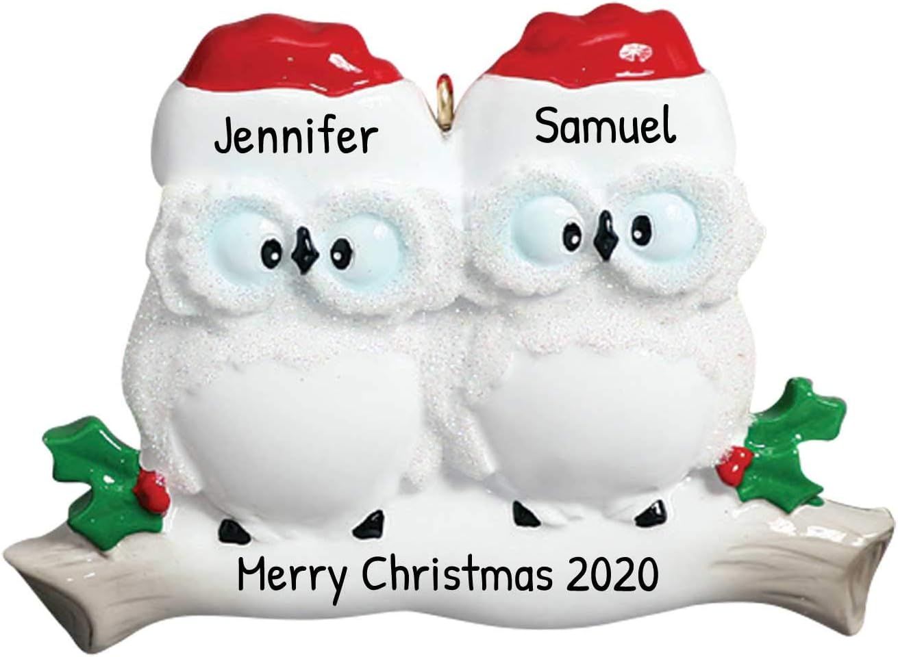 3D Personalized Our First Christmas Ornament 2025 | Custom Owl Couple Ornaments Winter White Owls Couples Ornament 2025 Family of 2 Unique for a Couple Ornaments Couples Unique Gifts