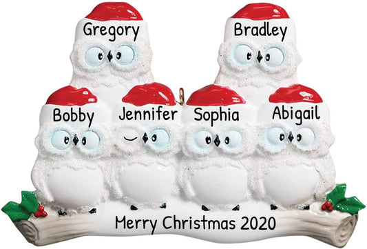 3D Owl Family of 6 Ornament 2025 Personalized Family Christmas Ornaments 2025 | White Holiday Keepsake Woodland Owls Personalized Tree Ornaments for Grandchildren, Siblings & Grandkids of Six Ornament