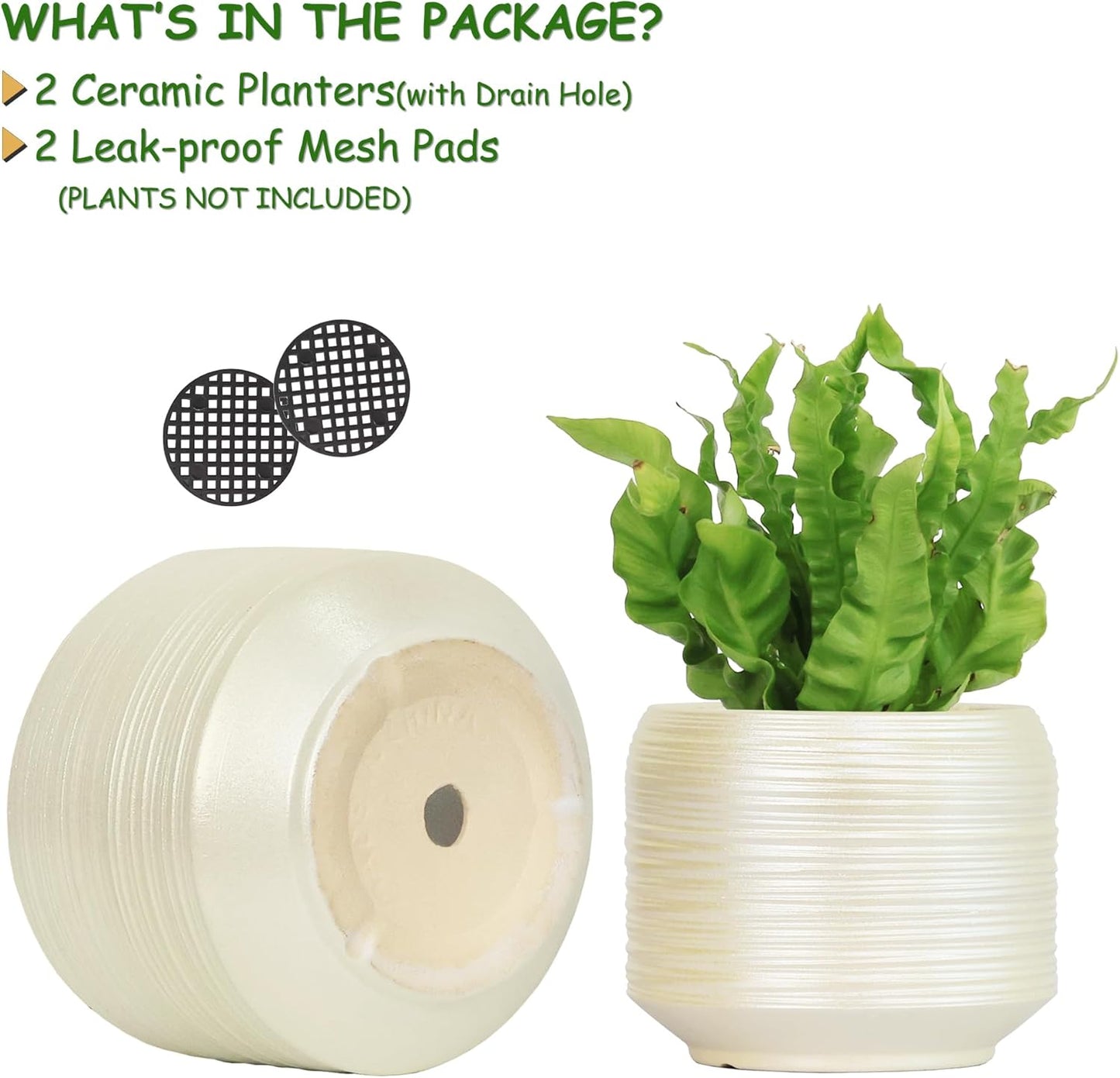 8 Inch + 6 Inch Ceramic Plant Pots Indoor with Drainage – Flower Pot Set, Decorative Indoor Planters for House Plants and Garden Use