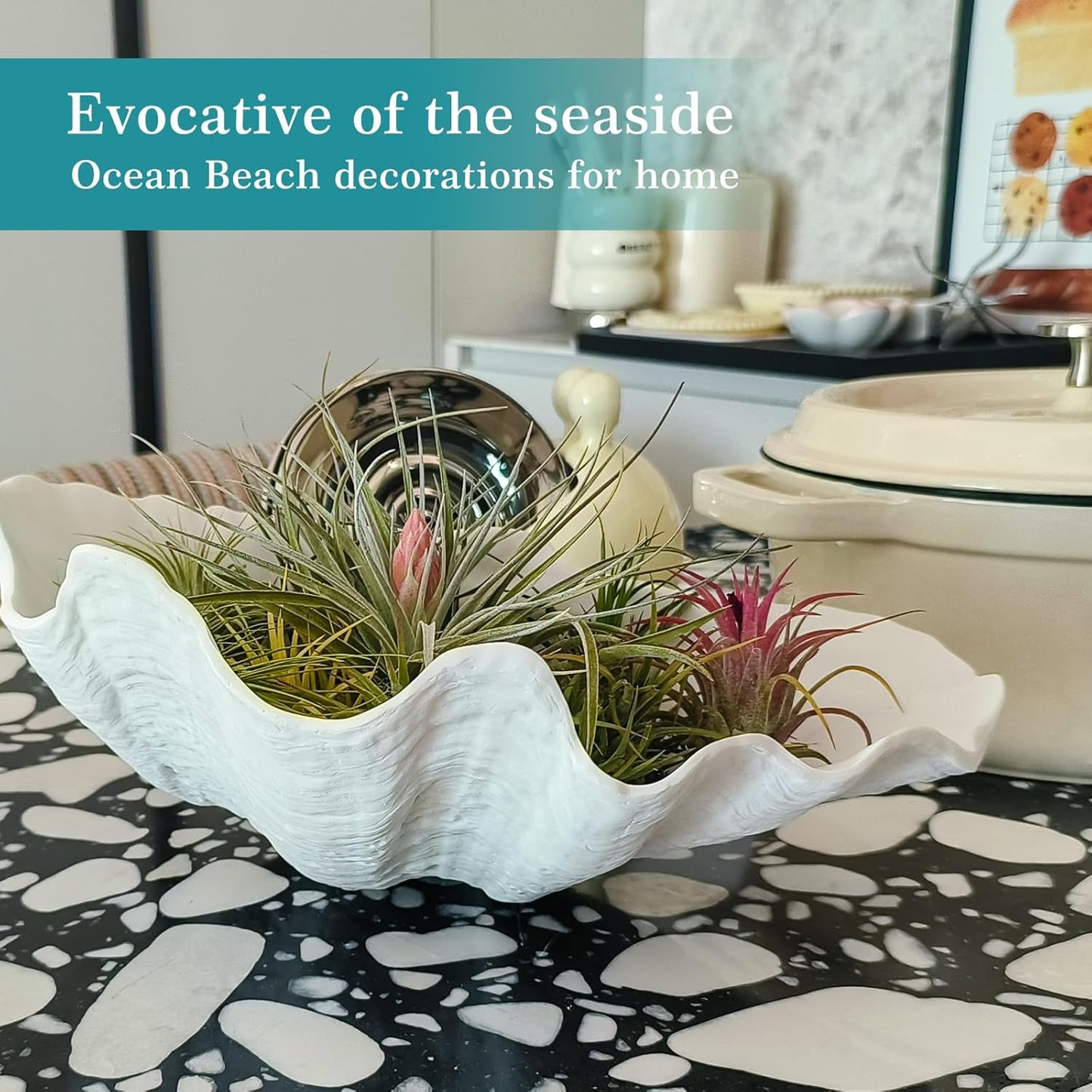 Accessoryway Extra Large Clam Shells Decorative Bowl-White Sea Shells Decorative Storage Bowls for Coastal Beach theme house table centerpiece decorations & Nautical decor for coffee table-12.4"-1PC