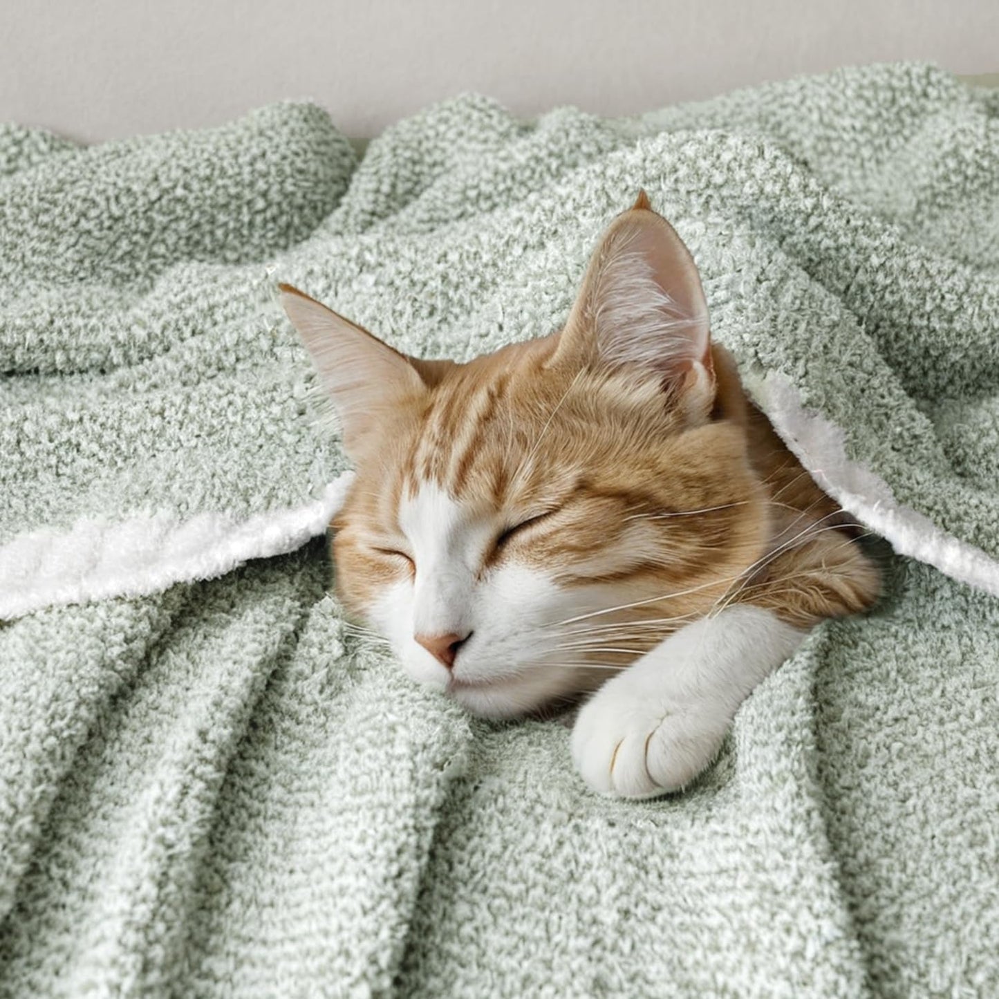 MIULEE Sage Green Super Soft Throw Blanket for Bed, Twin Size Cozy Fluffy Warm Blankets Knit Blankets for Couch, Sofa, Chair, Living Room, Camping, Picnic, 60 x 80 inch