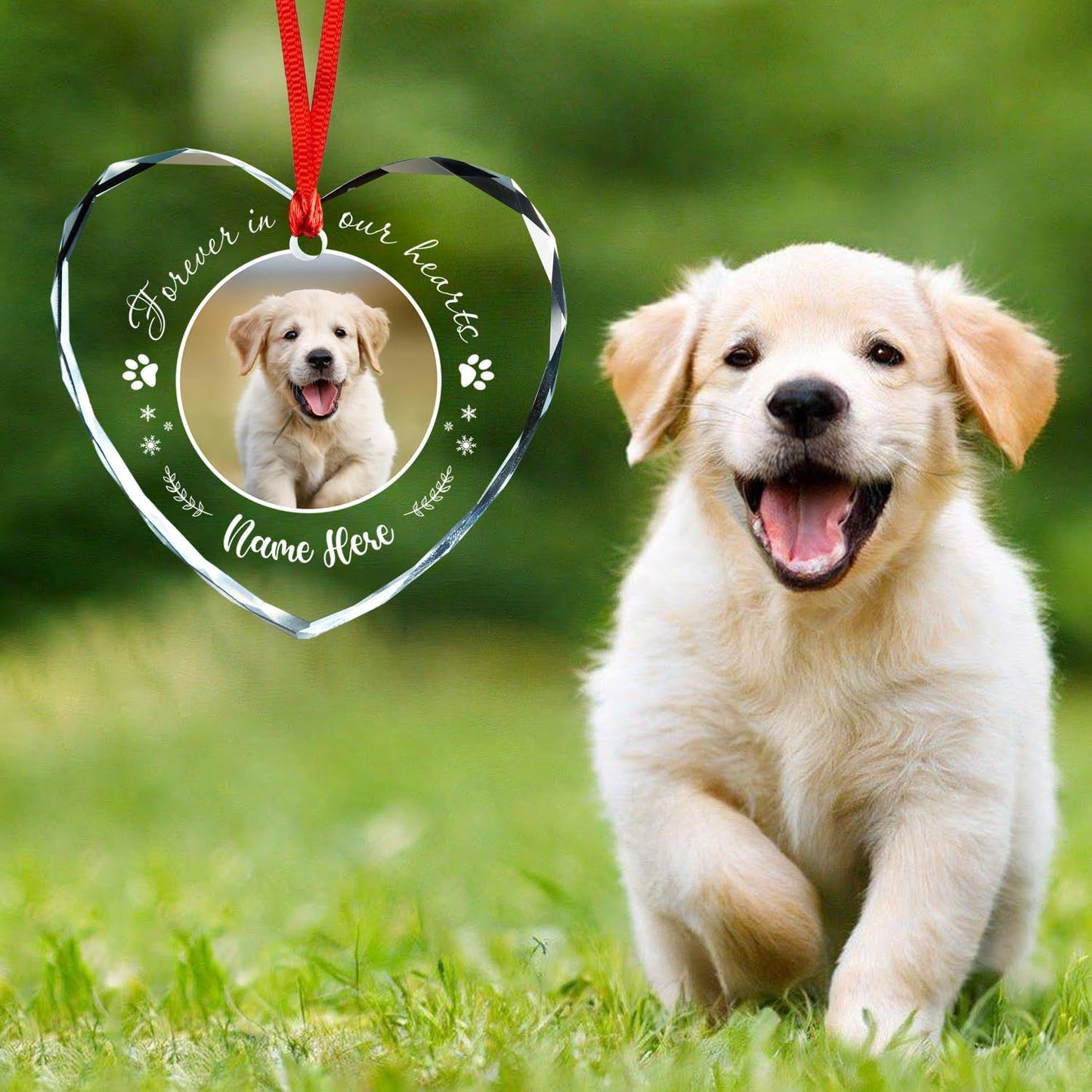 Personalized Pet Photo Ornaments, Custom Heart Glass Ornaments, Personalized Circle Glass Ornament, Custom Crystal Ornament Gifts for Dog Lovers, Cat Gifts for Cat Lover, Pet Love