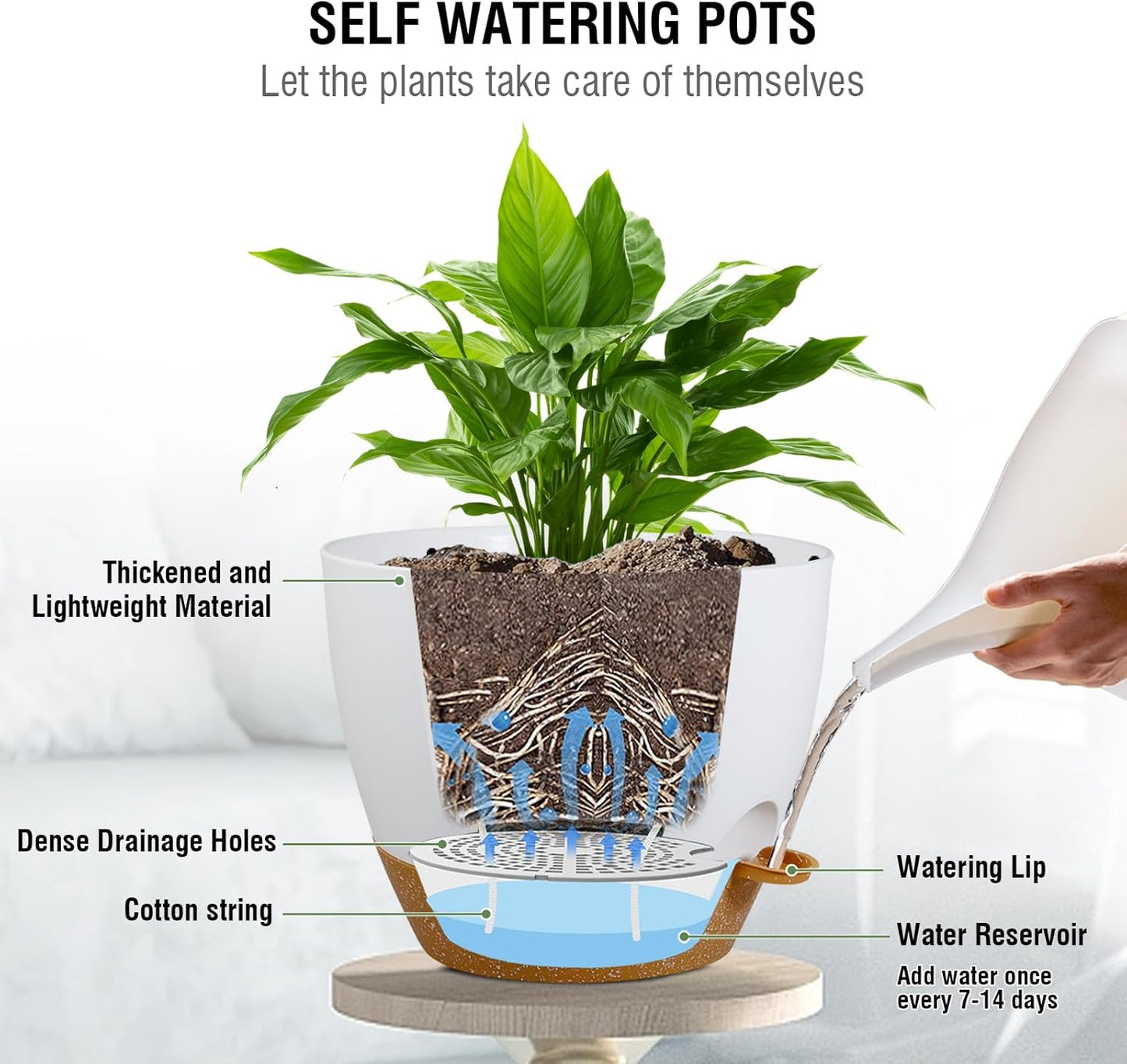 10 inch Self Watering Hanging Planters, 2 Pack Hanging Baskets for Indoor Outdoor Plants, Hanging Flower Pots with Drainage Holes & 2 Kinds of Plant Hangers for Garden Home Décor, White Brown