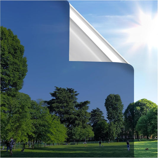 rabbitgoo Window Privacy Film One Way Window Tint for Home, Removable Reflective Heat Sun Blocking Anti UV Glass Door Covering, Mirror Tinting Film House Office, 29.5 in X 6.5 Feet, Blue Silver