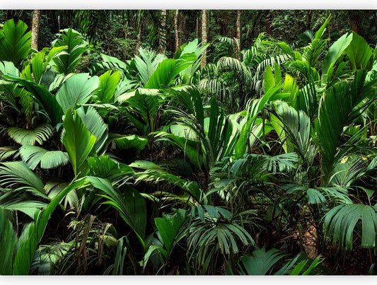 artgeist Wall Mural Nature 98x69 in - XXL Non-Woven Wallpaper Fleece Wall Decor Photo Print Picture Image Design Botanical Plants Jungle Leaves b-B-0594-a-a