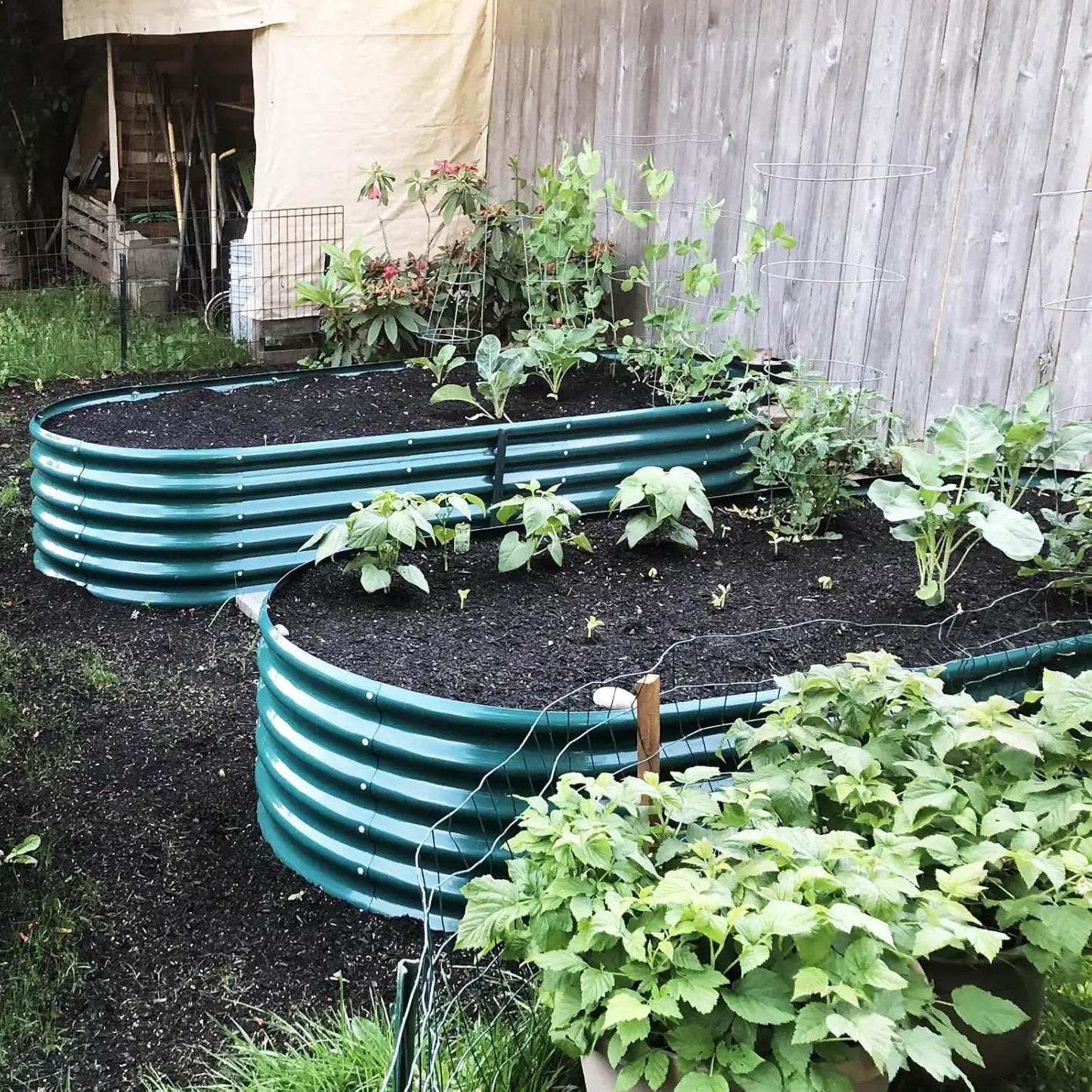 1 Pack 8x3x1.5FT Galvanized Raised Garden Bed Kit Oval Metal Ground Planter Box Outdoor Bottomless Planter Raised Beds for Vegetables Flowers Herbs Fruits, Green