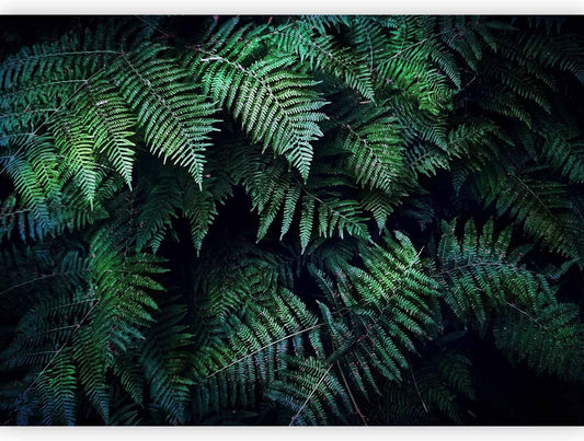 artgeist Wall Mural 3D Effect 177x124 in - XXL Non-Woven Wallpaper Fleece Wall Decor Photo Print Picture Image Design Home Tropical Leaves b-C-0564-a-a