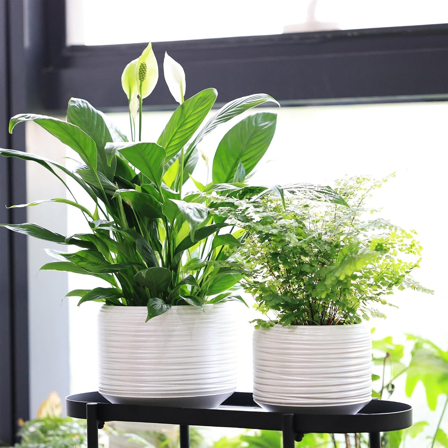 8 Inch + 6 Inch Ceramic Plant Pots Indoor with Drainage – Flower Pot Set, Decorative Indoor Planters for House Plants and Garden Use