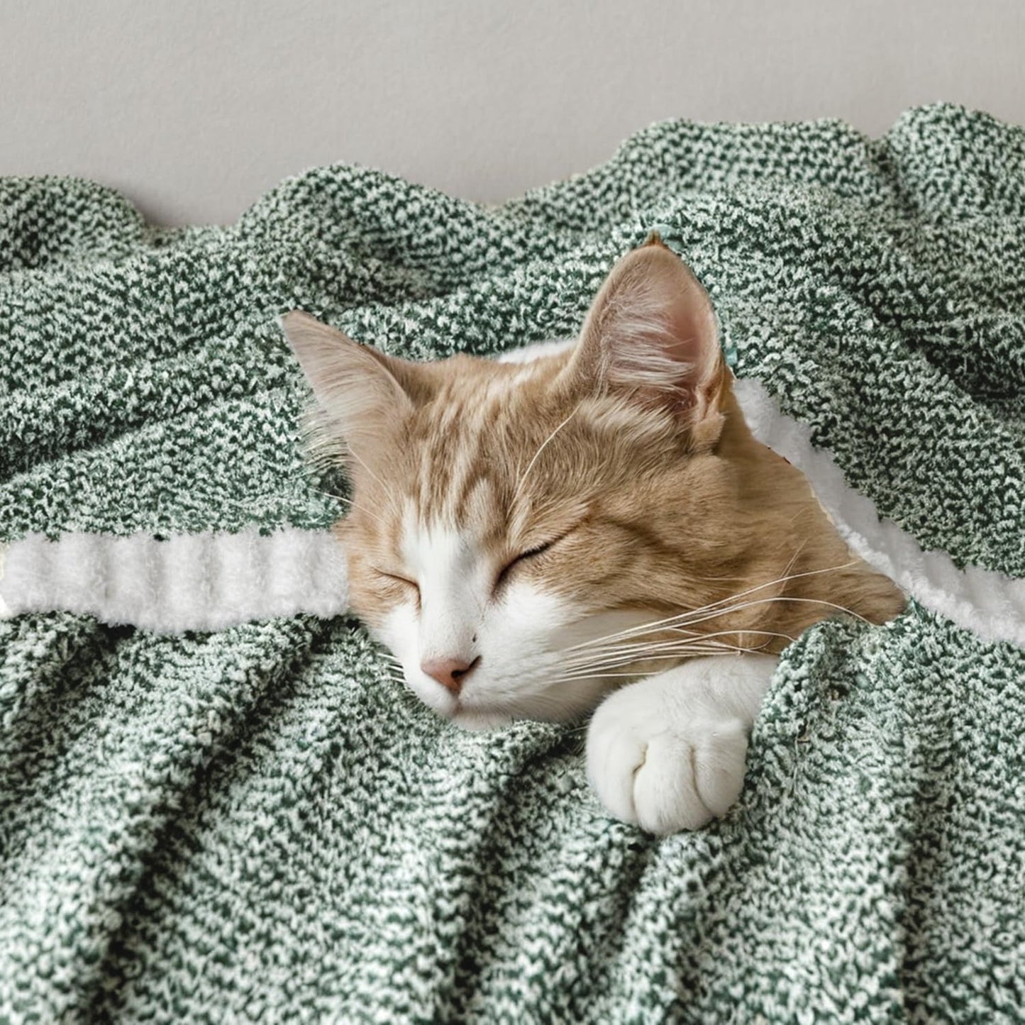 MIULEE Green Super Soft Throw Blanket for Couch, Cozy Fluffy Warm Throws Knit Blankets for Sofa, Bed, Chair, Living Room, Camping, Picnic, 50 x 70 inch