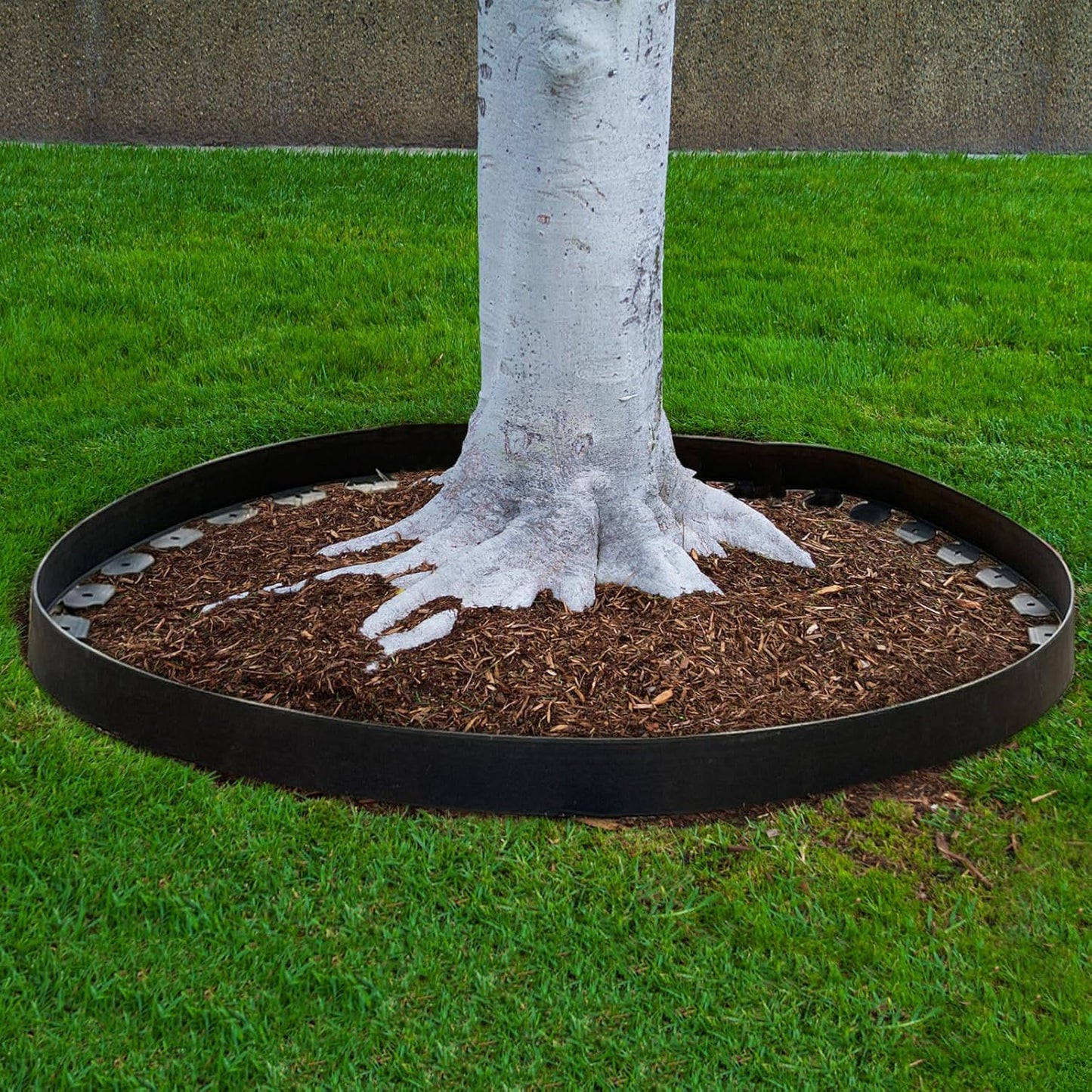 Garden Edging Border 33ft, 2in Tall Plastic Straight Top Lawn Edging Landscaping Edging Kit with 30pcs Spikes for Paver Edging, Grass Edging, Flower Beds, Yard, Black