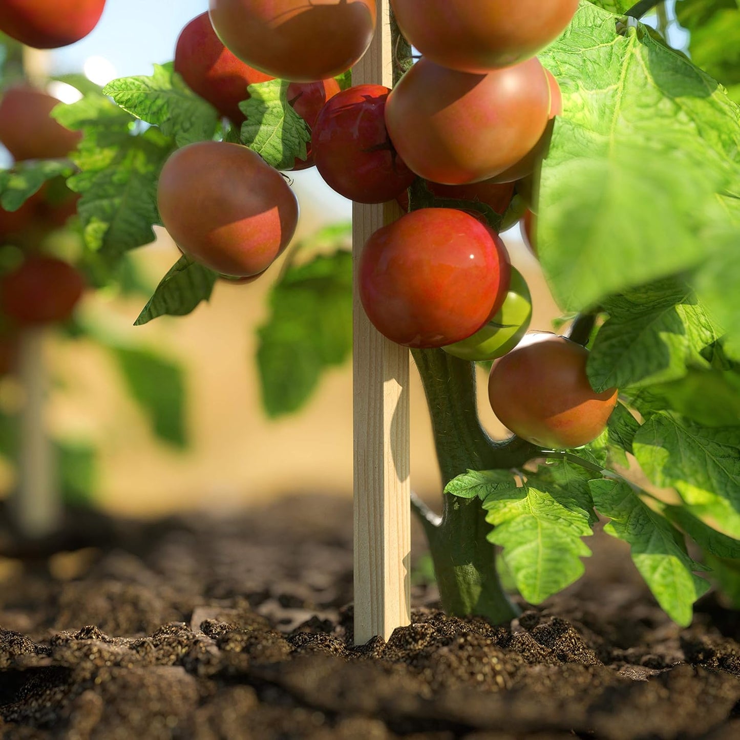 Greenes Fence 4 Ft. Garden and Sign Post Stakes (75 Pack)