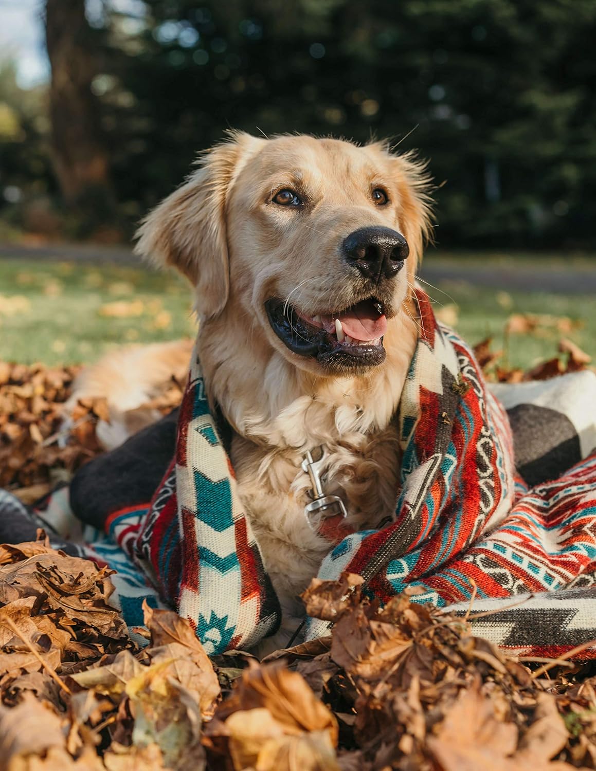 Inca Aztec Throw, Queen, King Blanket | Southwest Indian Navajo Boho Style | Native Cover for Camping, Bedding, Couch, Vanlife | Faux Alpaca, Lightweight, Hypoallergenic (Pachamama Brown, Queen)