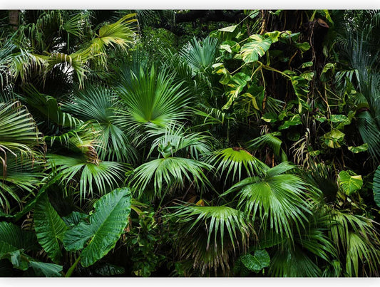 artgeist Wall Mural Tropical 118x83 in - XXL Non-Woven Wallpaper Fleece Wall Decor Photo Print Picture Image Design Home b-B-0312-a-a